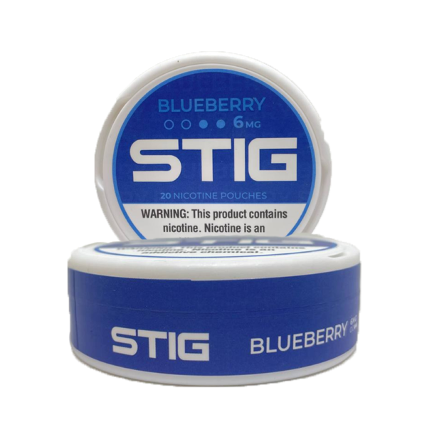 STIG Pouches – Blueberry 6MG